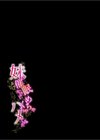妹に催●かけてめちゃくちゃハメてみた試し読み2ページ