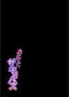 あまくちサキュバス試し読み2ページ
