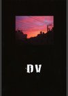 DV試し読み2ページ