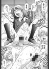 過激な淑女試し読み9ページ