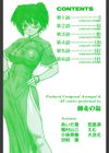 精装追男姐試し読み3ページ