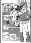特風会調査目録試し読み3ページ