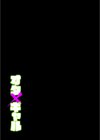 オタ×ギャル試し読み2ページ