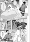 肉欲に溺れる海豚 【単話】試し読み1ページ