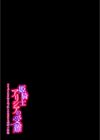 姫騎士アリシアの受難 -サキュバスに身体を乗っ取られ弄ばれる姫騎士物語-試し読み2ページ