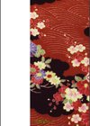 たまとなでしこ試し読み2ページ
